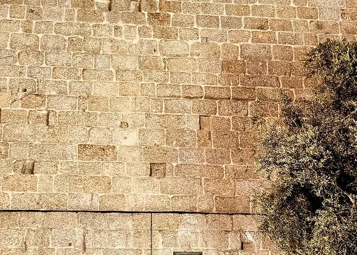 Three Little Birds * Guimarães